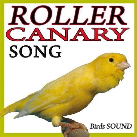 canary song download